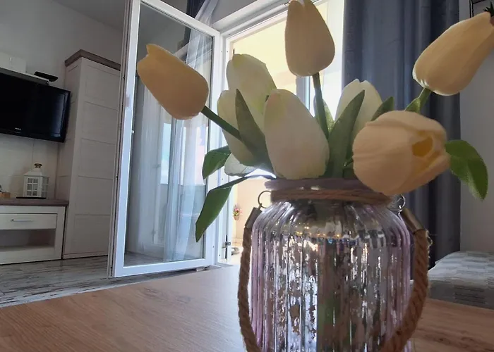 Belisima Delux - One Bedroom With Sea View